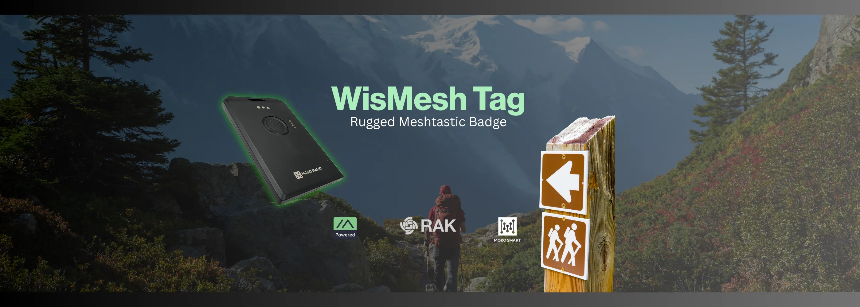Empower Your Wireless World